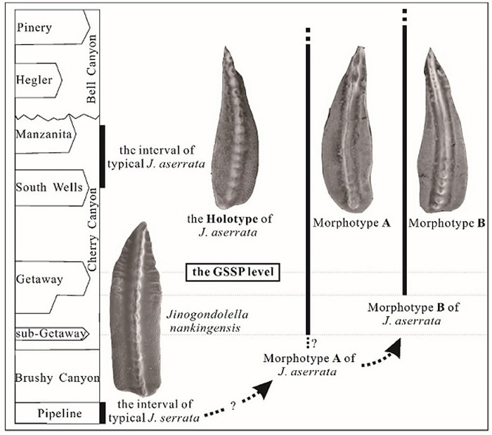 ϵֵ½׵׽GSSPݻϵͼ