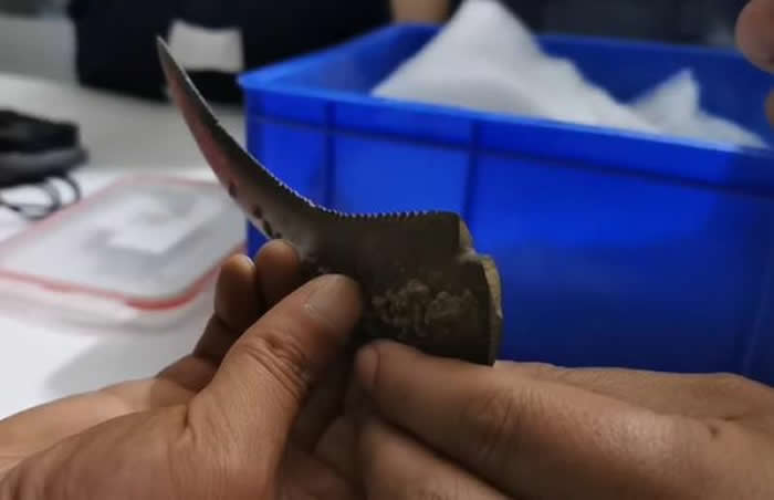 ����֣�ݵ��������ַ���־�ʯ��ʱ�������Ŵ� ����26000��ǰ���񵰿Ǵ��顰������