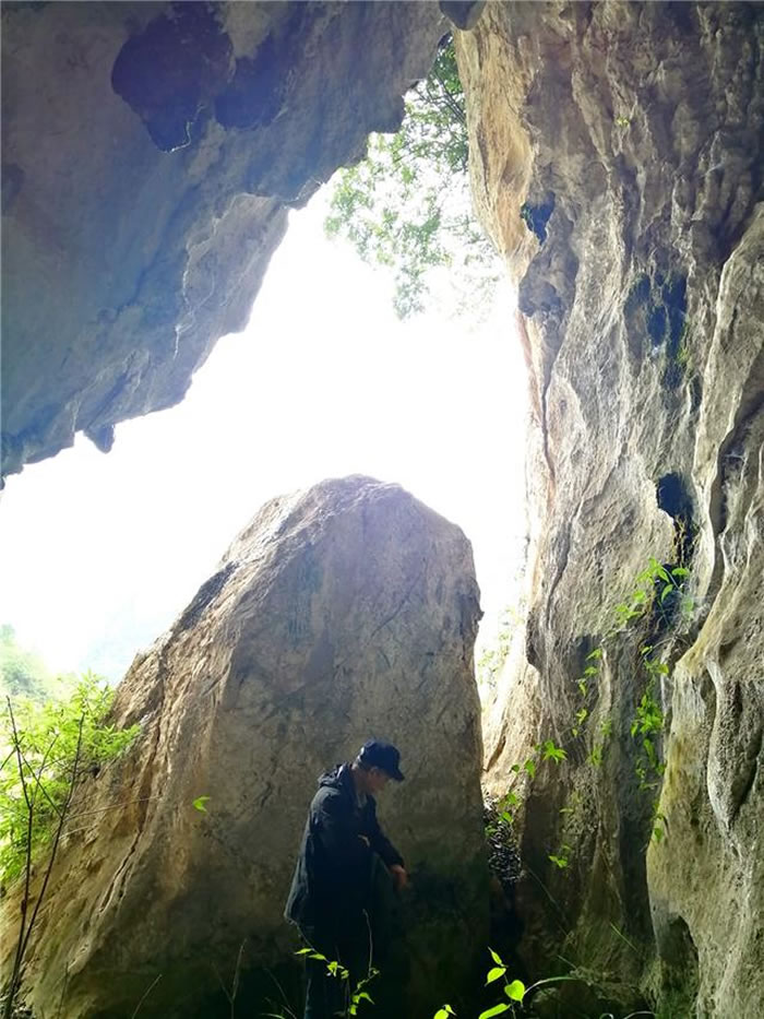 ����ʡ�Ͻ������ǹ���Ѽ��������Ƭ�����ֹ����ﻯʯ�͹������Ŵ�