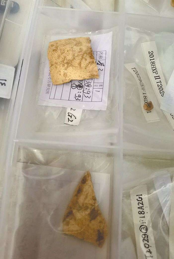 �������ַ���ŷ��־��������ľ�ʯ��ʱ�������Ŵ�