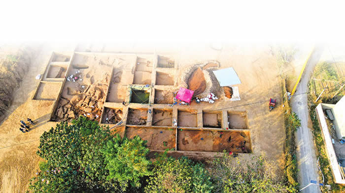 �������ַ���ŷ��־��������ľ�ʯ��ʱ�������Ŵ�