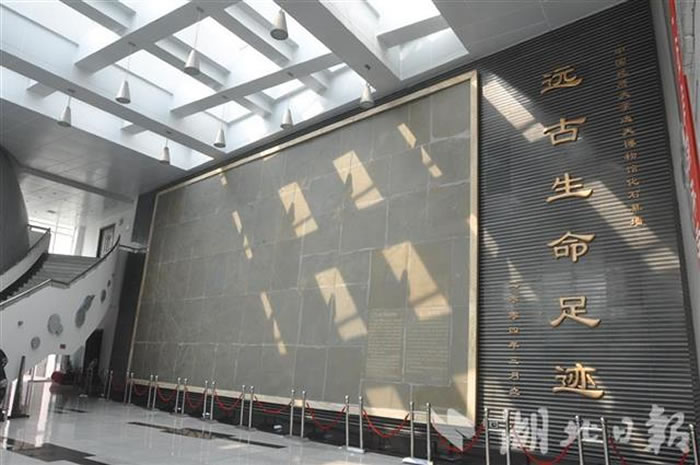 �й����ʴ�ѧ���人���ݷ���������100ƽ���׵Ĺ������ż���ʯĻǽ