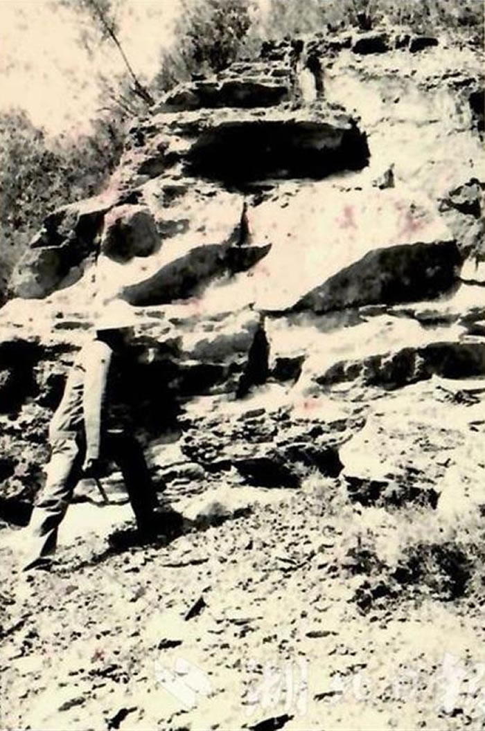 �й����ʴ�ѧ���人���ݷ���������100ƽ���׵Ĺ������ż���ʯĻǽ