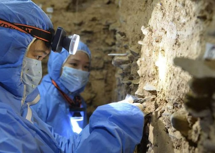 ����������DNA��ʾ����ռ����ظ�ԭ��ʱ�����������