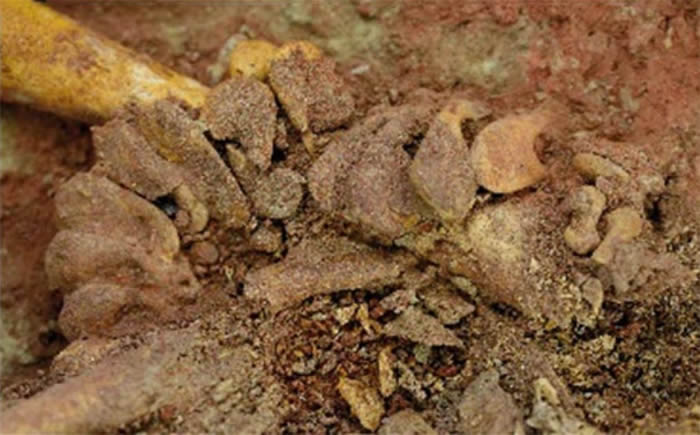 ����Ȼ����־�������µ�������һ�������ڴ�Լ3����ǰ������˫��̥Ӥ���ź�