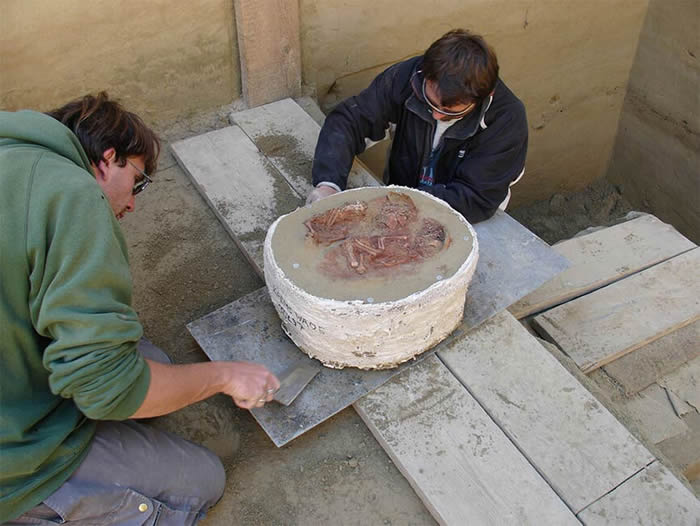 ����Ȼ����־�������µ�������һ�������ڴ�Լ3����ǰ������˫��̥Ӥ���ź�