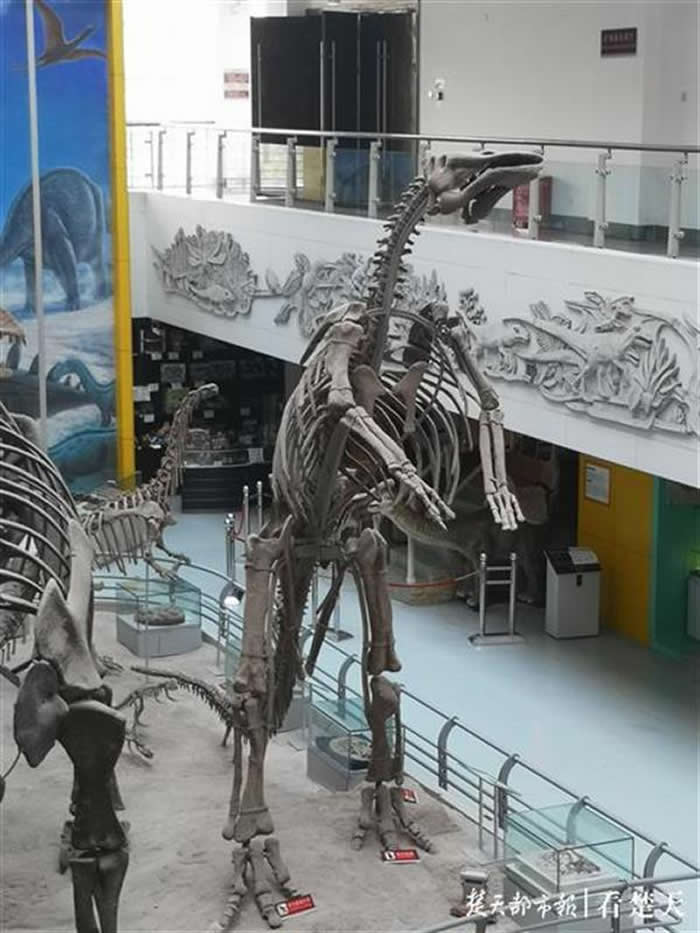 �������չ�������ش��ݷ���ݿ�������������