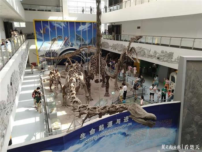 �������չ�������ش��ݷ���ݿ�������������