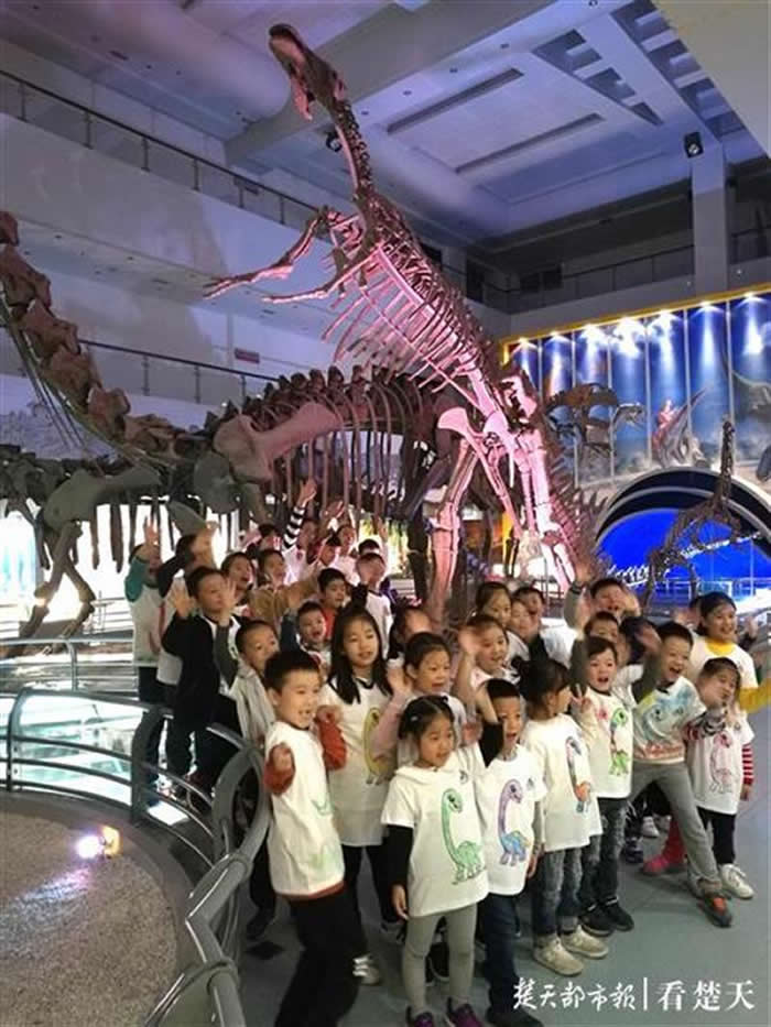 �������չ�������ش��ݷ���ݿ�������������