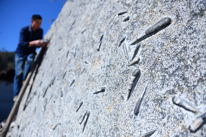 800ֻ4����ǰ���嶯��𵩽�ʯ����ʯ��11�־�ʯ�ϡ��������ࡱ