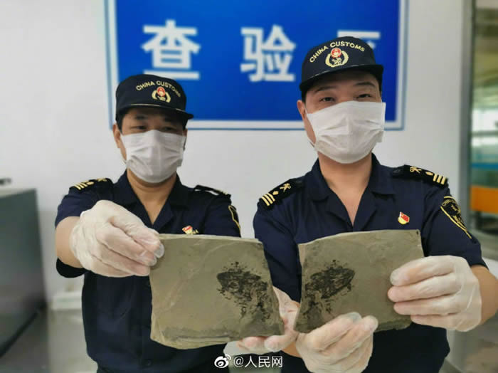 ���ݳ��ֻ������ز��٪�޼�������ͷ�ǻ�ʯ