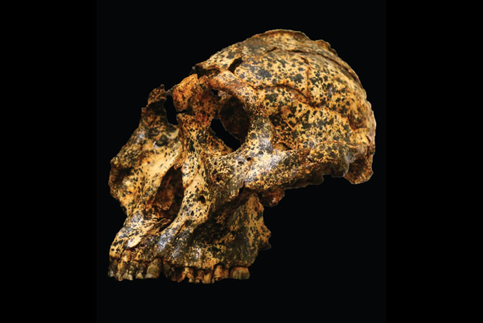 �ϷǷ���200����ǰ�ް��ϰ���ͷ�ǻ�ʯ �ṩ�����������Ϣ