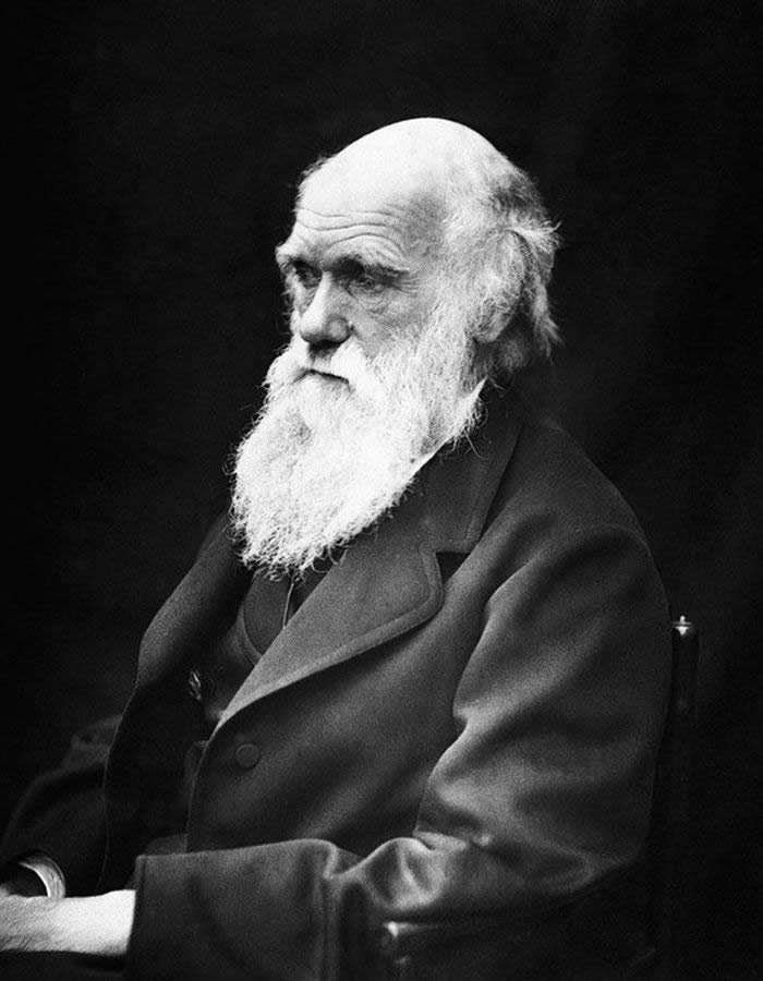 达尔文对地球早期生命的猜想也许是对的