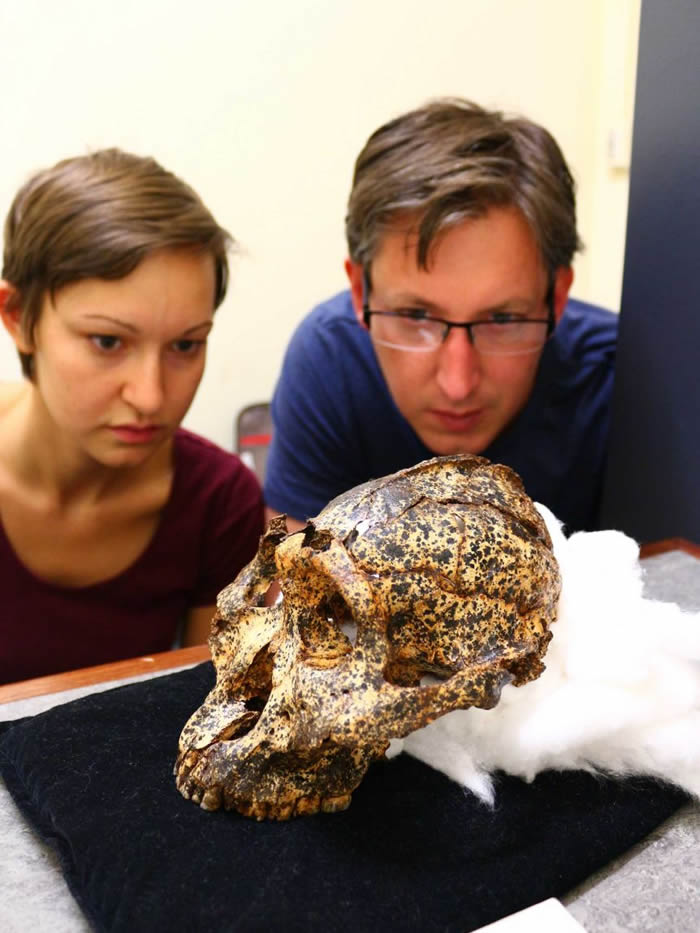 �ϷǶ�Ѩ����200����ǰ��������ް��ϰ���ͷ�ǻ�ʯ ��ͬ��������ʵ��