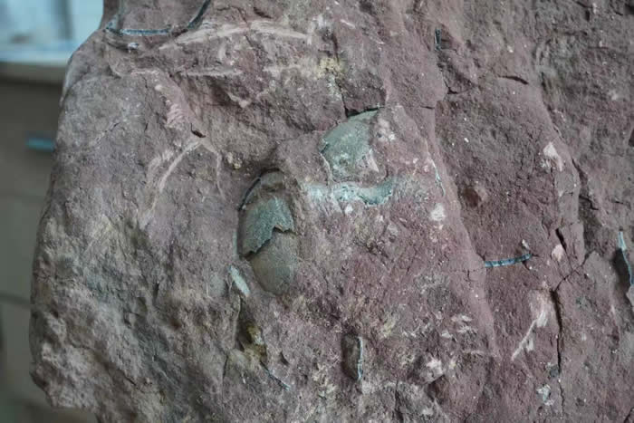 ҵ�໯ʯ���������麣���Ż���ˮ��ʡ��ʪ�ع�԰���ֿ�������ʯ