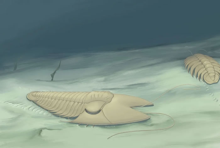 �����£� ��һ���뵼ʦ���Ŷӳ�Աһ�𷢾������滯ʯ���ܷ��߹�ͼ��