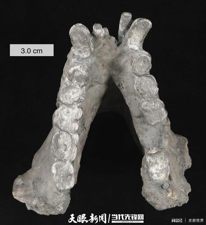 ��Գ�����ǣ�����ͼ��