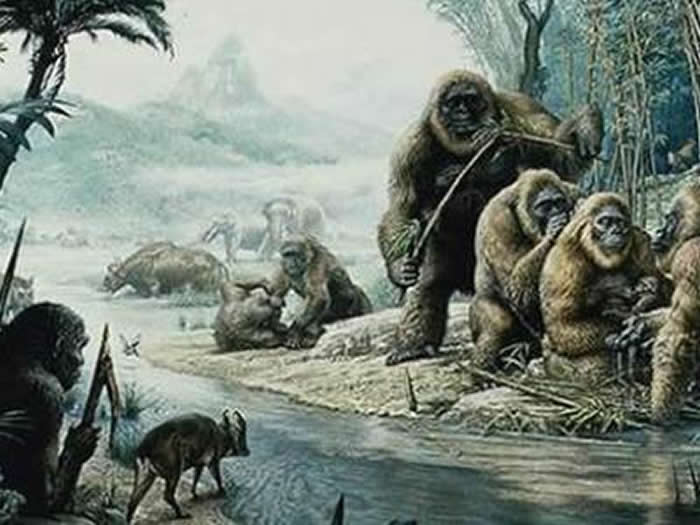 ��Գ���ԭͼ������ͼ��