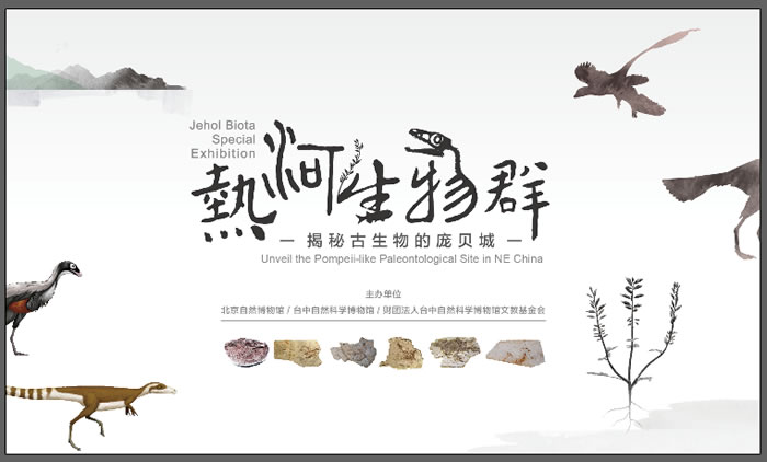 ������Ȼ����ݴ�չ���Ⱥ�����Ⱥ�����������������ӱ��ǡ�����