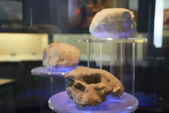 ���100����ġ������ˡ�ͷ�ǻ�ʯ����30����