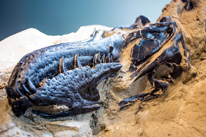 ������������������ġ�������������ʯ���״�����չ��