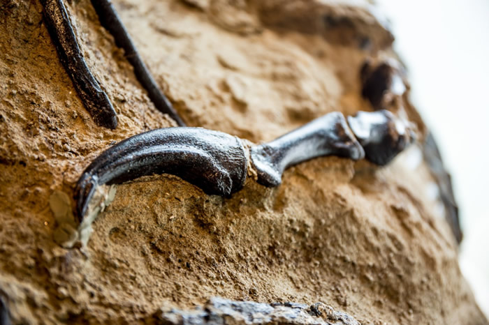 ������������������ġ�������������ʯ���״�����չ��