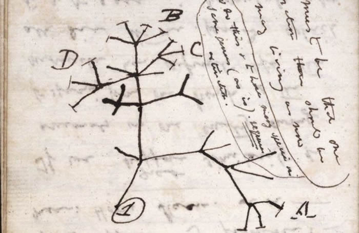 Ӣ�����Ŵ�ѧͼ����������˹�������׫д��������ֵ������Ӣ���ıʼǱ���ʧ��20��