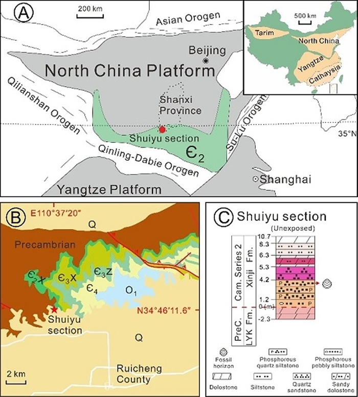 ������ʸſ���������״ͼ