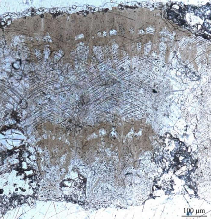 ����ɡ�ε����Ǿ�������΢�ṹʾɡ�οǵ�Ԫ������