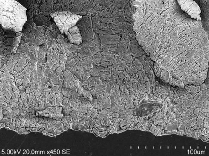 ����ɡ�ε��������ε�׶�壨ɨ�������΢���۲죩