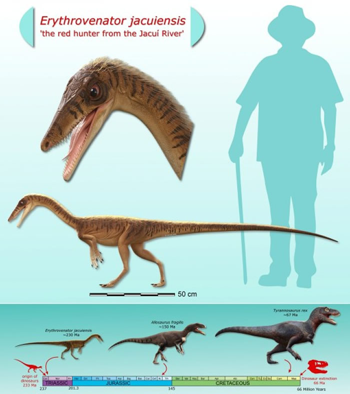 �����ϲ��ϴ�����ſ��������򷢾��2.3����ǰ�ġ��ſ�������������ʯ