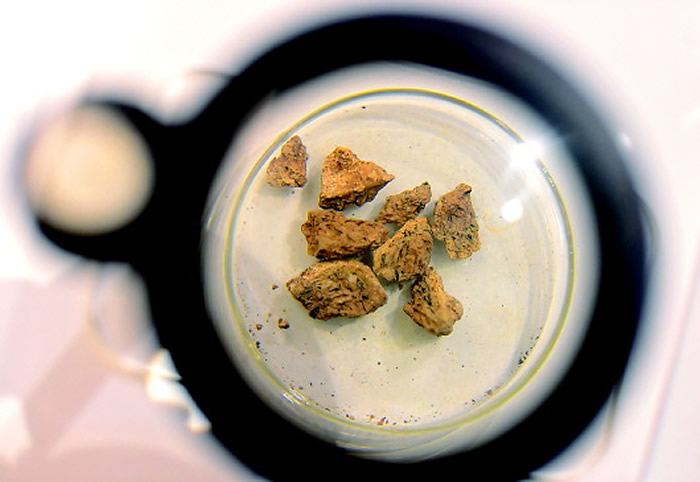 ��ɽ������ַ��԰��չ���Ĳ��ӵ��ǵ������顣�»������ ������ ��