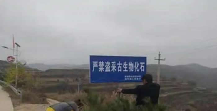 ��������ԭ�ز鴦һ��Ƿ����ڹ����ﻯʯ��Ϊ