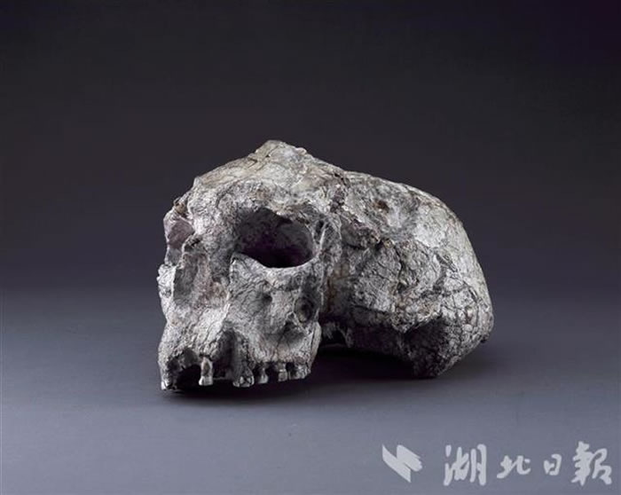 ������ͷ�ǻ�ʯ�����ڽ��㣩