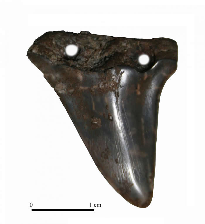 ��������ѧ���Ŷӷ��������������ǰ뵺���ֵ�600���ֻ�ʯ