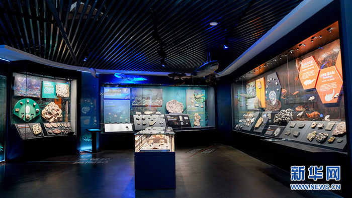 云南澄江化石地自然博物馆:敲开“洪荒印记” 拥抱万物之美