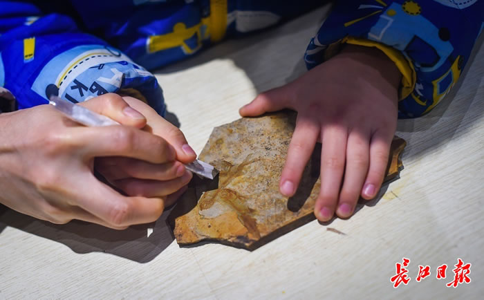 �й����ʴ�ѧ��ʿ���人�л���ʯ�ݽ�Сѧ���޸���ʯ