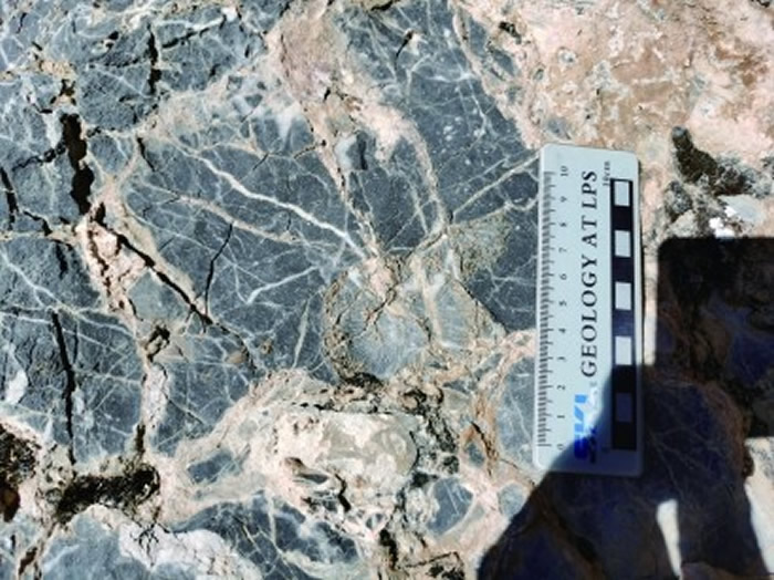 ����Ӻ������ϵ�����е�ɺ����ʯ