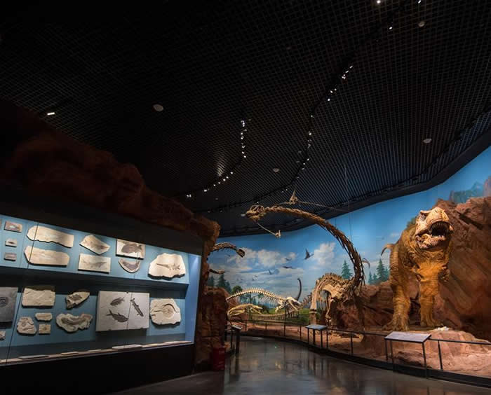 ��ӵ���綥����ʯ��Դȴ�ſ���ȸ �ҹ�������ʯ�����������Ӫ����