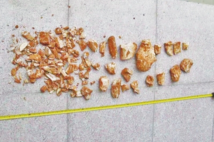 ֪��ɽ���С�������ʯ���� ����͵��ɽ����