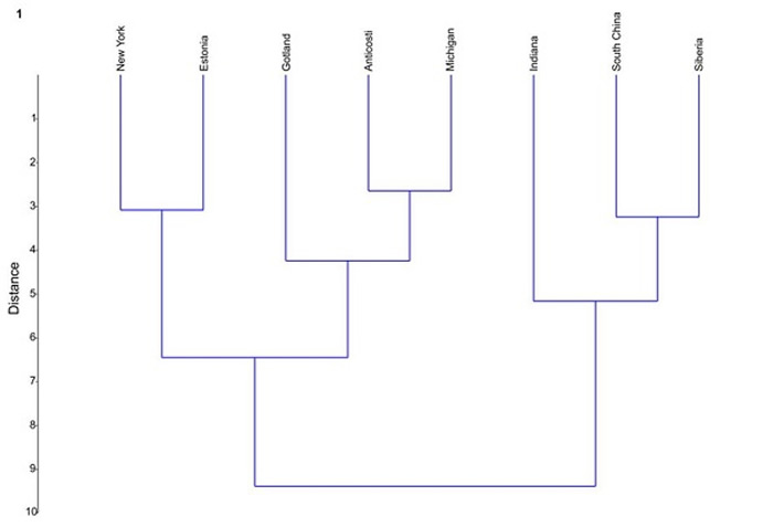 ͼ2ڶȺɵľʾҹάͳ׵̦޺涯Ⱥȫͬԡ