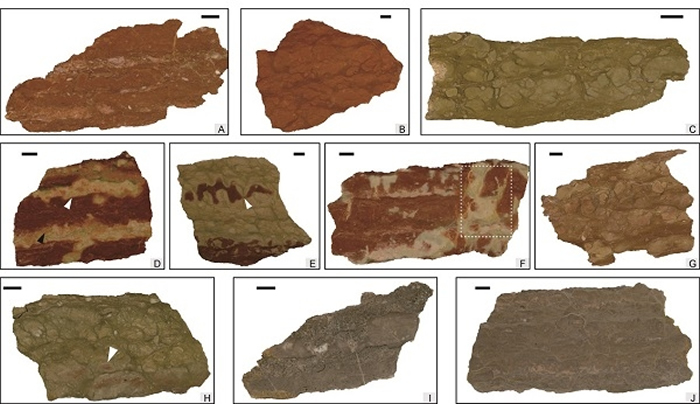 ��̨�麣������ʯ������Ƭ