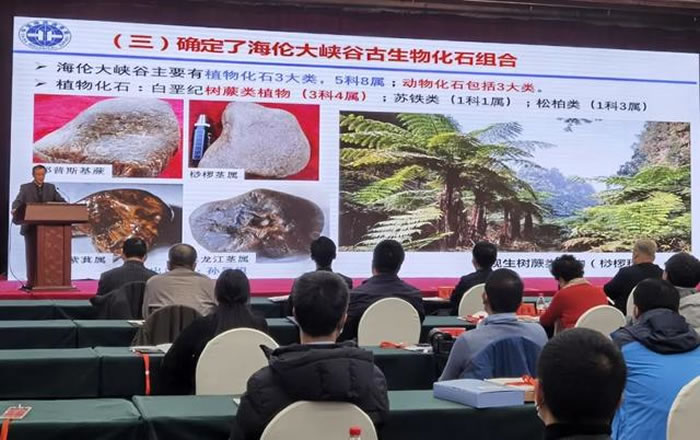 黑龙江海伦大峡谷发现罕见白垩纪生物群化石