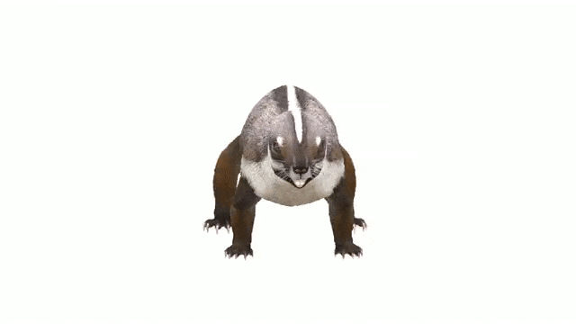 ������Ұ�ޡ�Adalatherium hui�������˹�ӷ���6600����ǰ�����С�Ĳ��鶯��