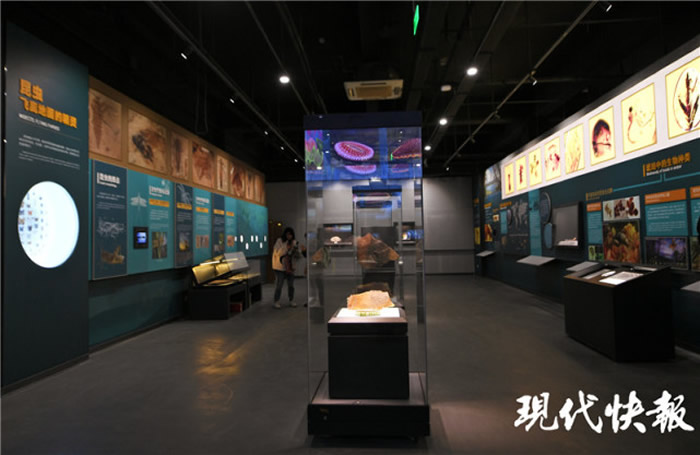 �Ͼ������ﲩ��ݱչݸ����ƻ���2021��Ԫ������ո����ò������ѿ���