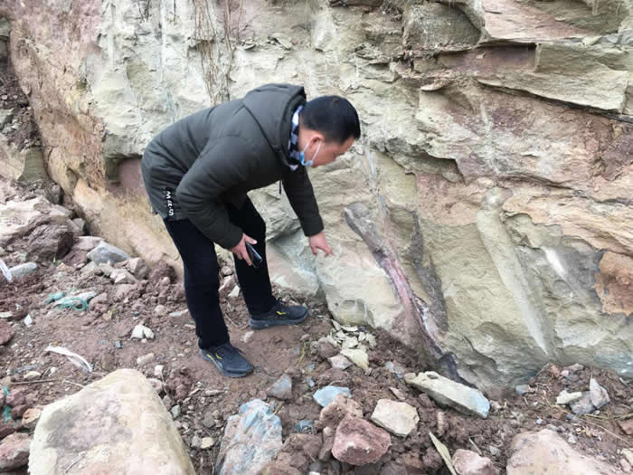 �������о�ר��ɢ�����ֿ�����ʯ Ϊ�Թ���161��������ʯ���ֵ�