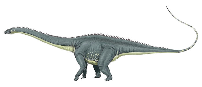 为何侏罗纪早期蜥脚类恐龙就已演化出长脖子和巨型身躯？