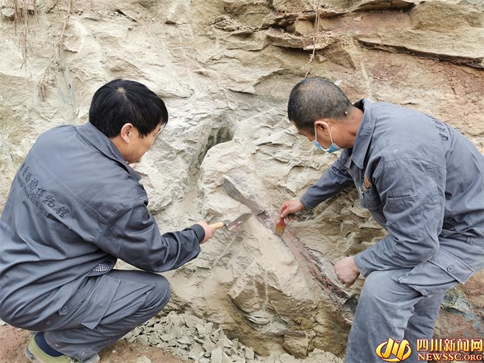 �Ĵ��Թ������ֿ�����ʯ�����Թ���������ݿ�ʼ���� �������������峤Լ15��