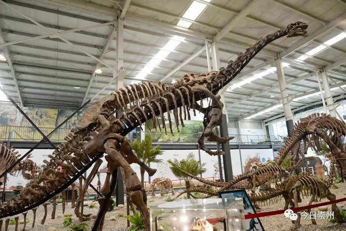 �������ݲ���ݽ�����Ϊ���Ҷ��������