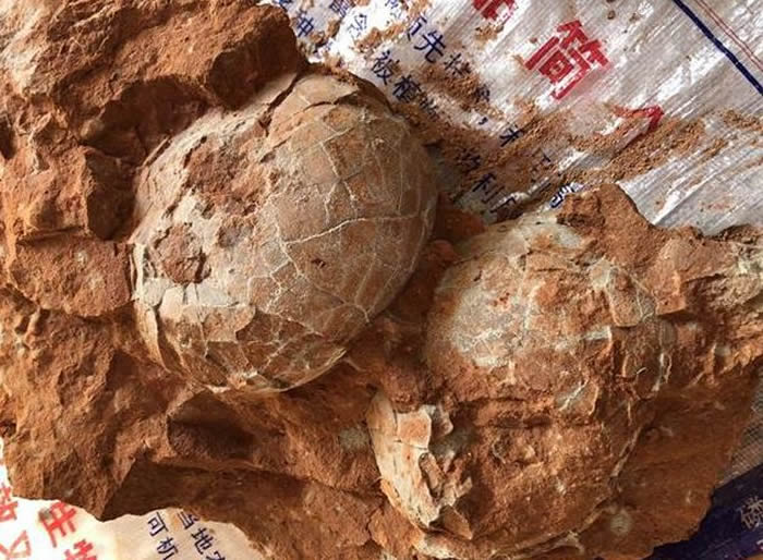 ����ʮ�ߵ��ڿ�����ʯ��߷�50��